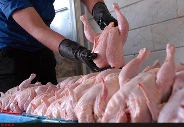 نرخ هرکیلوگرم مرغ در مراکز خرده فروشی 6850 تومان است
