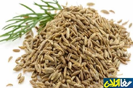 زیره سیاه و لاغری