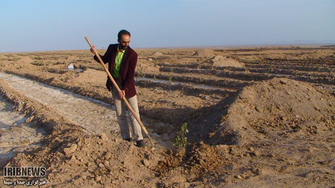 ثبت وقف 100 میلیون تومانی در طبس