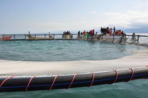 عملکرد طرح «پرورش ماهی در قفس» در خوزستان صفر است