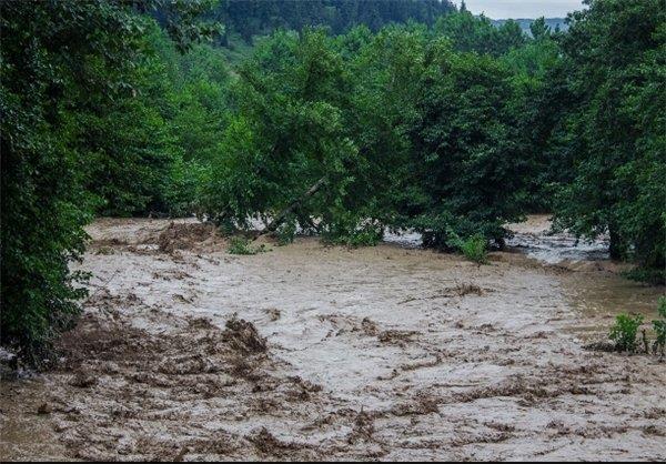 خسارات وارد شده به باغات زنجان میلیاردی شد