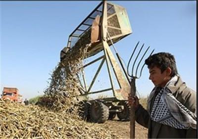 دولت زنگ آغاز سال زراعی جدید را نزد