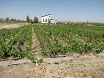 حمایت بانک کشاورزی از خسارت دیدگان بارندگی در استان اردبیل