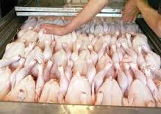 معاون نظارت بر بهداشت سازمان دامپزشکی اعلام کرد:/-نکات ضروری برای خرید مرغ سالم/ مرغ بدون بسته‌بندی نخرید