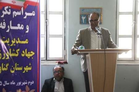 رکورد تولید گندم در استان بوشهر شکسته شد