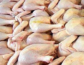 افزایش قیمت مرغ دلیل منطقی ندارد