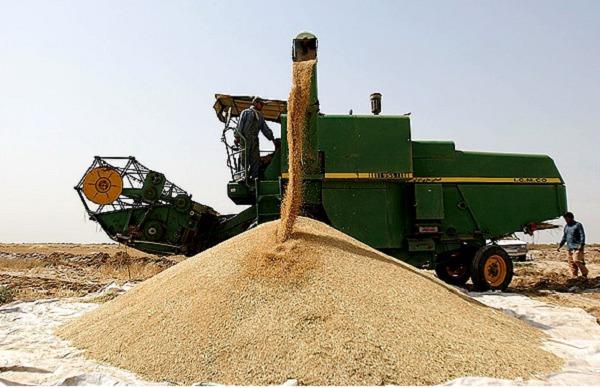 20 تن گندم توسط مراکز خرید دولتی در سردشت خریداری شده است
