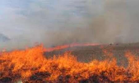 ممانعت از سرایت آتش اراضی کشاورزی حاشیه به جنگل توشن گرگان