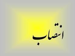 مدیرعامل و اعضای جدید هیات مدیره مؤسسه جهاد استقلال منصوب شدند