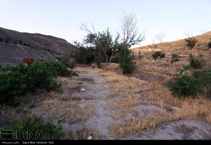 بیش از 30 هکتار اراضی کشاورزی در کرمان آزاد شد