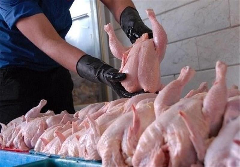 کاهش قیمت مرغ در پی کم شدن تقاضا
