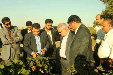 استاندار: کاهش جاذبه اشتغال و درآمدزایی کشاورزی گلستان قابل جبران است