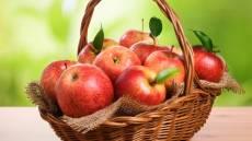 رایزنی برای صادرات سیب ایران به هندوستان و روسیه/ 30 درصد سیب‌های زیردرختی برای صنایع غذایی بارگیری نمی‌شود