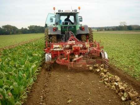 100 درصد کشت چغندرقند در همدان مکانیزه است