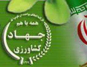 تدوین برنامه اقتصادمقاومتی کشاورزی