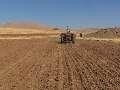 کشت پاییزه گندم در33 هزارهکتار از زمین های کشاورزی سیستان و بلوچستان