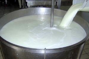آیا قیمت شیر اصلاح می شود؟