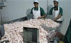 عصاره پایمرغ جایگزین قرص غضروفساز