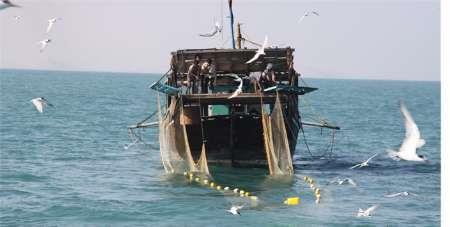 شروع صید میگو در آبهای هرمزگان 10 مهرماه اعلام شد