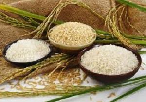 مجوز واردات برنج صادر نشده است