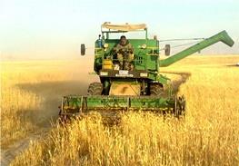 ضرورت متقاعد کردن کشاورزان برای استفاده از بهترین ارقام بذر و نهال