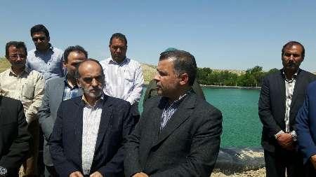 معاون وزير جهاد كشاورزي خبر داد:/-خريد تضميني 24 محصول كشاورزي از سوي دولت