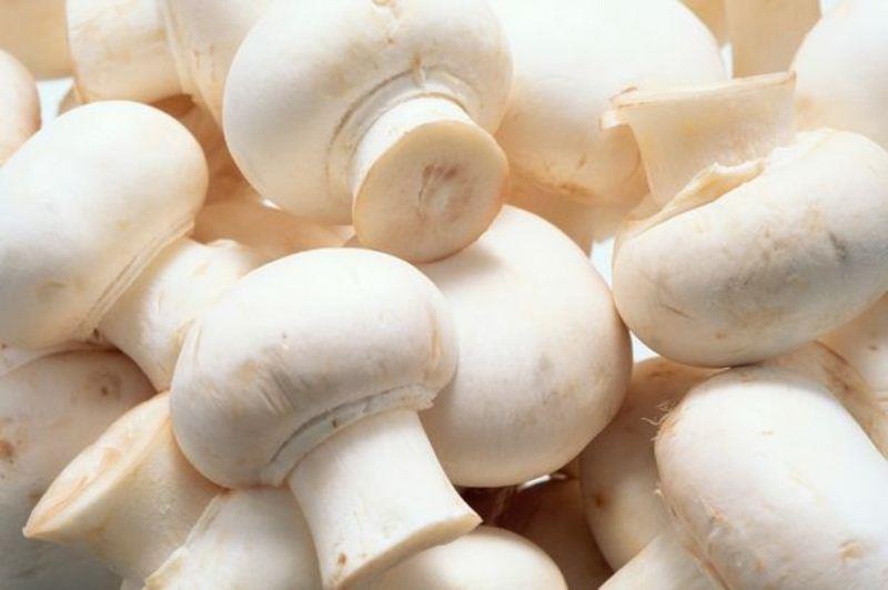 سرانه مصرف قارچ خوراکی در کشور پائین است
