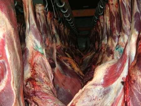 وزارت جهادکشاورزی افزایش قیمت گوشت گوسفندی به دلیل صادرات را رد کرد