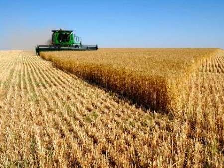 5581 میلیارد ریال تسهیلات کشاورزی در جنوب کرمان پرداخت شد