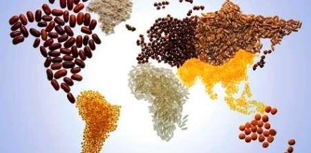 افزایش قیمت‏ جهانی مواد غذایی به بالاترین سطح