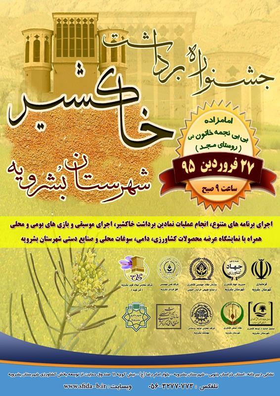 نخستین جشنواره خاکشیر برگزار می‌شود/ پیش‌بینی تولید 126.5 تن خاکشیر در قطب تولید