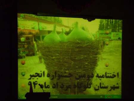 دومین جشنواره انجیر گلوگاه برگزار شد