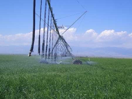 ابلاغ 130میلیارد ریالی اعتبار برای بخش کشاورزی خراسان شمالی