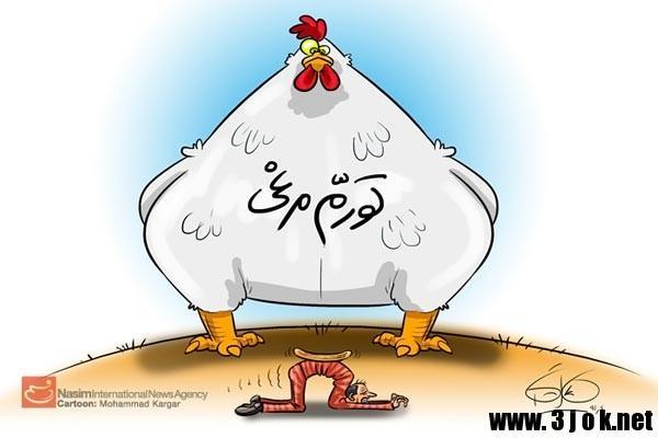 درآستانه ماه رمضان مرغداران مرغ را گران کردند-کنجاله سویا ارزان شد قیمت مرغ پرکشید/ افزایش هزار تومانی قیمت مرغ + نمودار