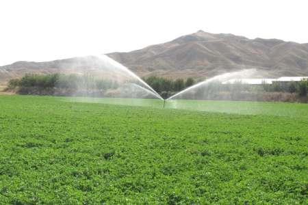 اجرای سامانه نوین آبیاری در 6 هزار هکتار از اراضی کشاورزی استان تهران
