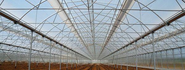 گلخانه‌های سنتی استان تهران، صنعتی می‌شود