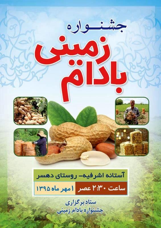 جشنواره بادامزمینی اول مهرماه برگزار میشود