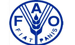 روند کاهشی قیمت‌‌ جهانی مواد غذایی ادامه دارد