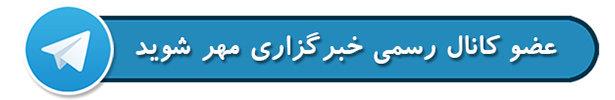 گوشت دوباره تب کرد!/ وزارت جهاد: نبود دام را تکذیب می‌کنیم