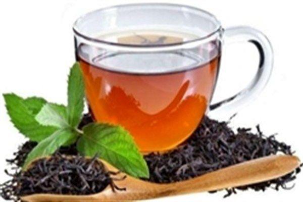 وضعیت کارخانه چای نمونه، همچنان رازآلود/ پرداخت 50 میلیارد تومان از مطالبات چایکاران مصوبه گرفت