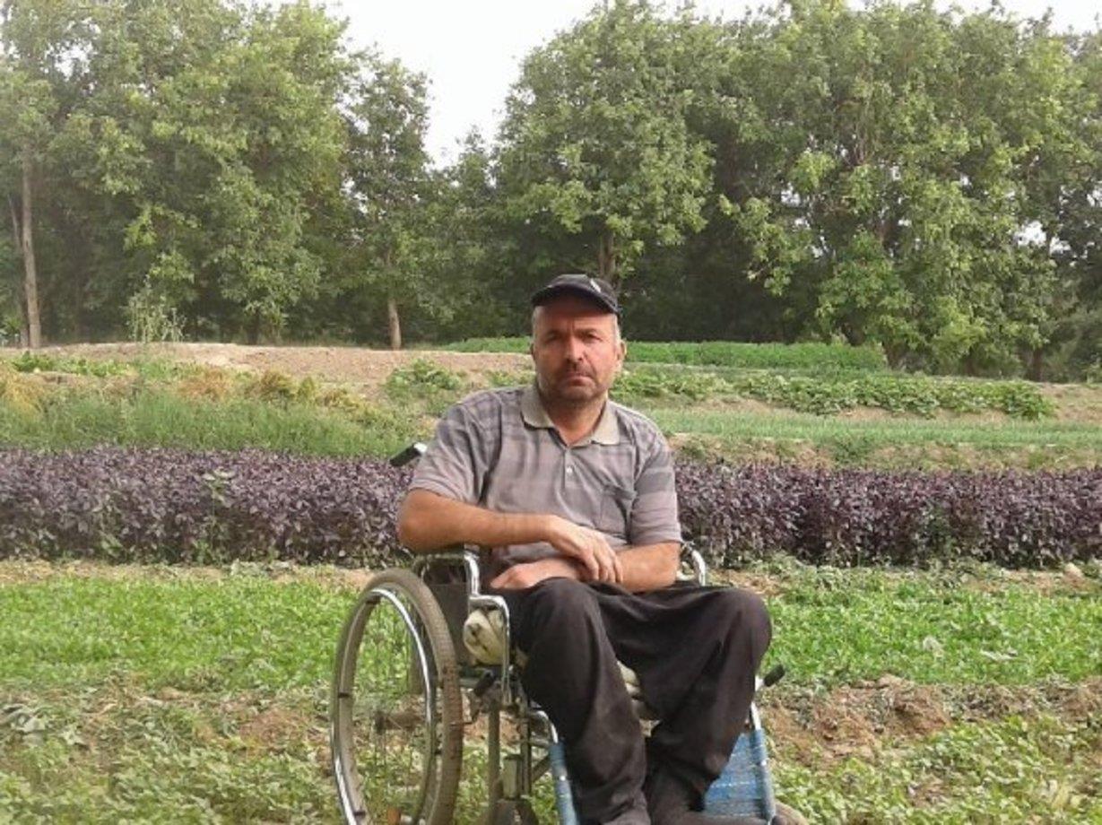 باغبانی که با «ویلچر» درختکاری میکند+تصاویر