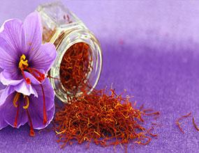 کشت زعفران زمینه مناسبی برای توسعه