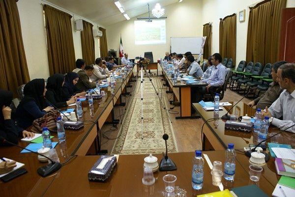 برگزاری دوره ملی آموزش حبوبات در کردستان /  اختصاص 100 هزار هکتار از اراضی استان به کشت نخود