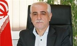 تولید دو برابری پرتقال در استان مازندران