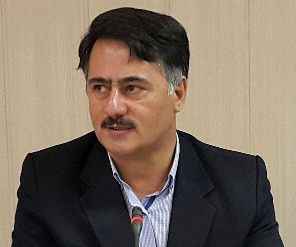 اختصاص 15000 هکتار از اراضی استان اردبیل به کشت کلزا/ بیمه رایگان کشت کلزا