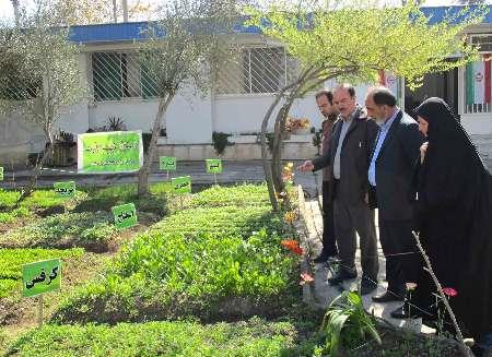 طرح کشاورزی خوشه خانواده در نوشهر اجرایی شد