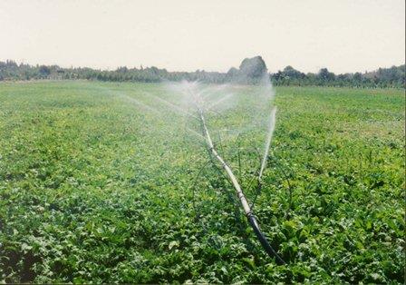 رییس جهاد کشاورزی خوزستان: دمای بالای هوا مانع توسعه آبیاری نوین در خوزستان است