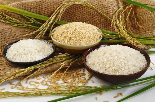 از سوی وزارت جهاد کشاورزی پیشنهاد شد:- قیمت خرید تضمینی انواع برنج برای سال زراعی 96-95