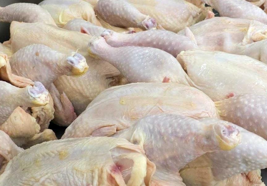 قیمت گوشت مرغ در خراسان شمالی تعدیل می شود