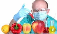 معاون تحقیقات وزیر جهاد کشاورزی: بسته تولید محصولات تراریخته با صفات انتخابی و زمان بندي اولویت ها تدوین شد